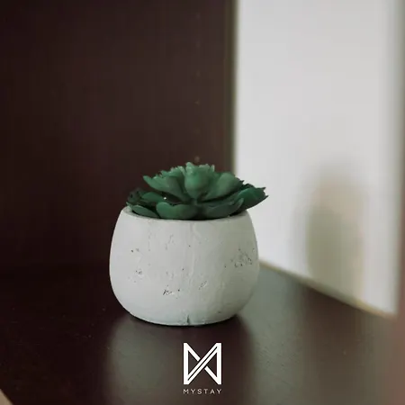 Mystay - D Joao Iv